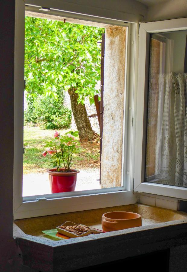 Casa Istriana Nona Pina Villa Kaštelir Екстериор снимка